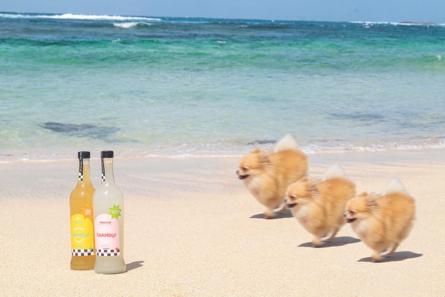 CHANDU Classic Blend - Traditional Non-Alcoholic Cocktail Bottles with Dogs